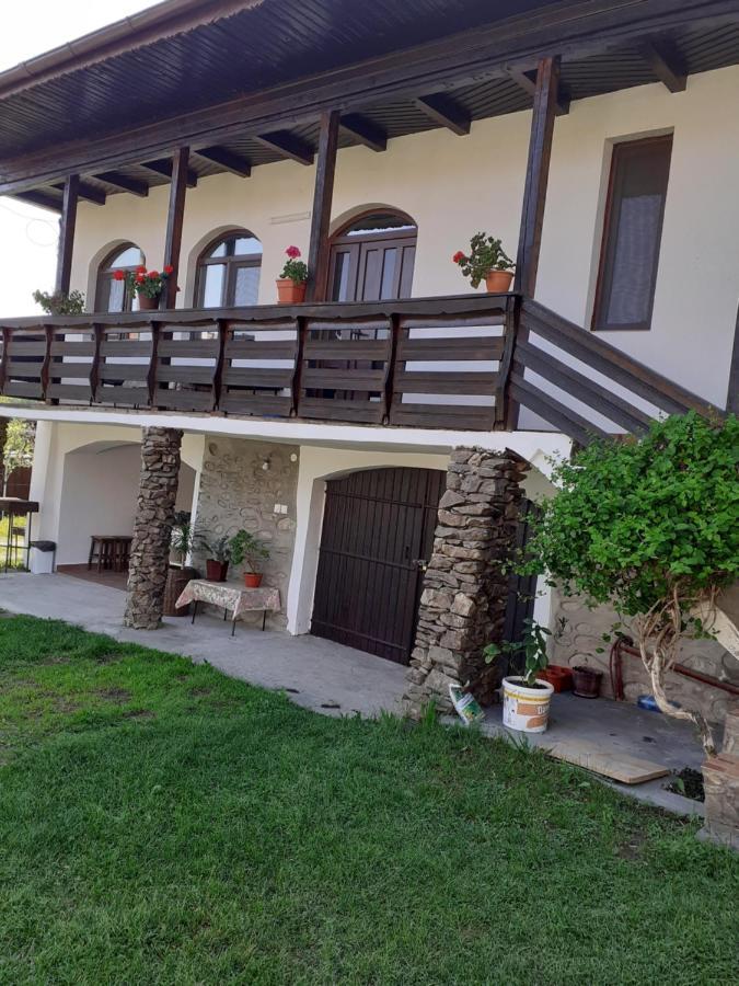 Casa De Vacanta Mirela โนวาชิ-สเตรยนี ภายนอก รูปภาพ