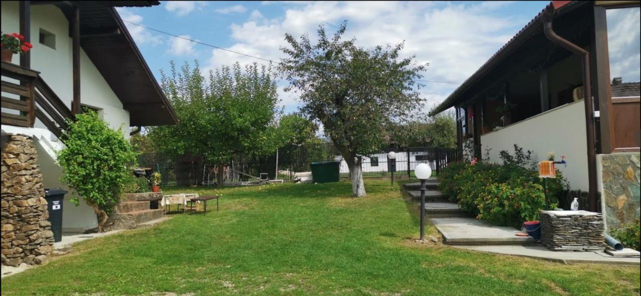 Casa De Vacanta Mirela โนวาชิ-สเตรยนี ภายนอก รูปภาพ
